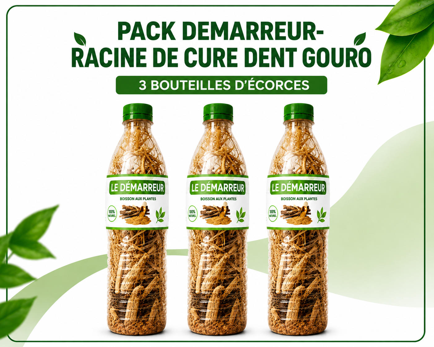 Le demarreur - Racine de cure dent Gouro