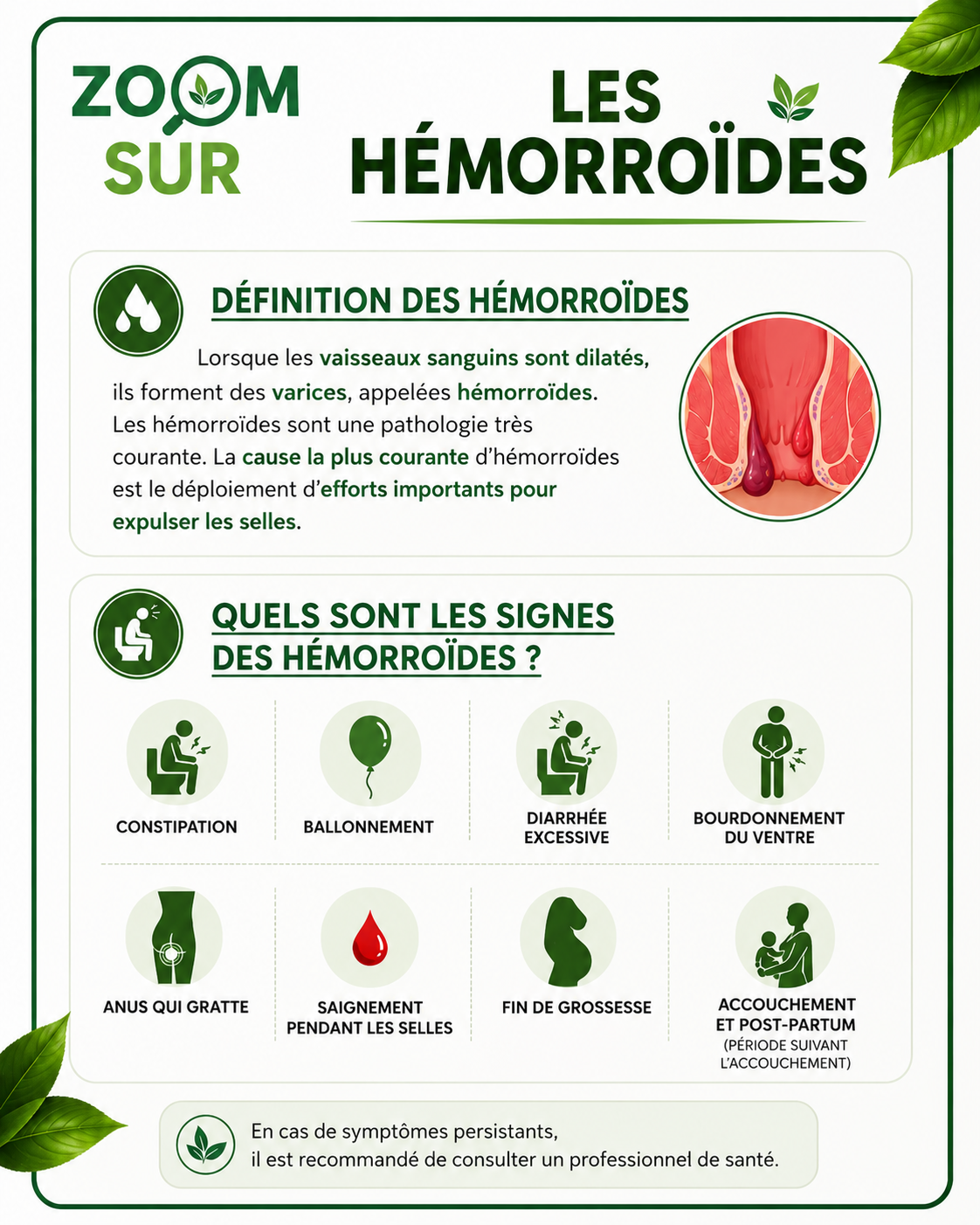 Pack complet kohoko-hémorroïdes internes & externes
