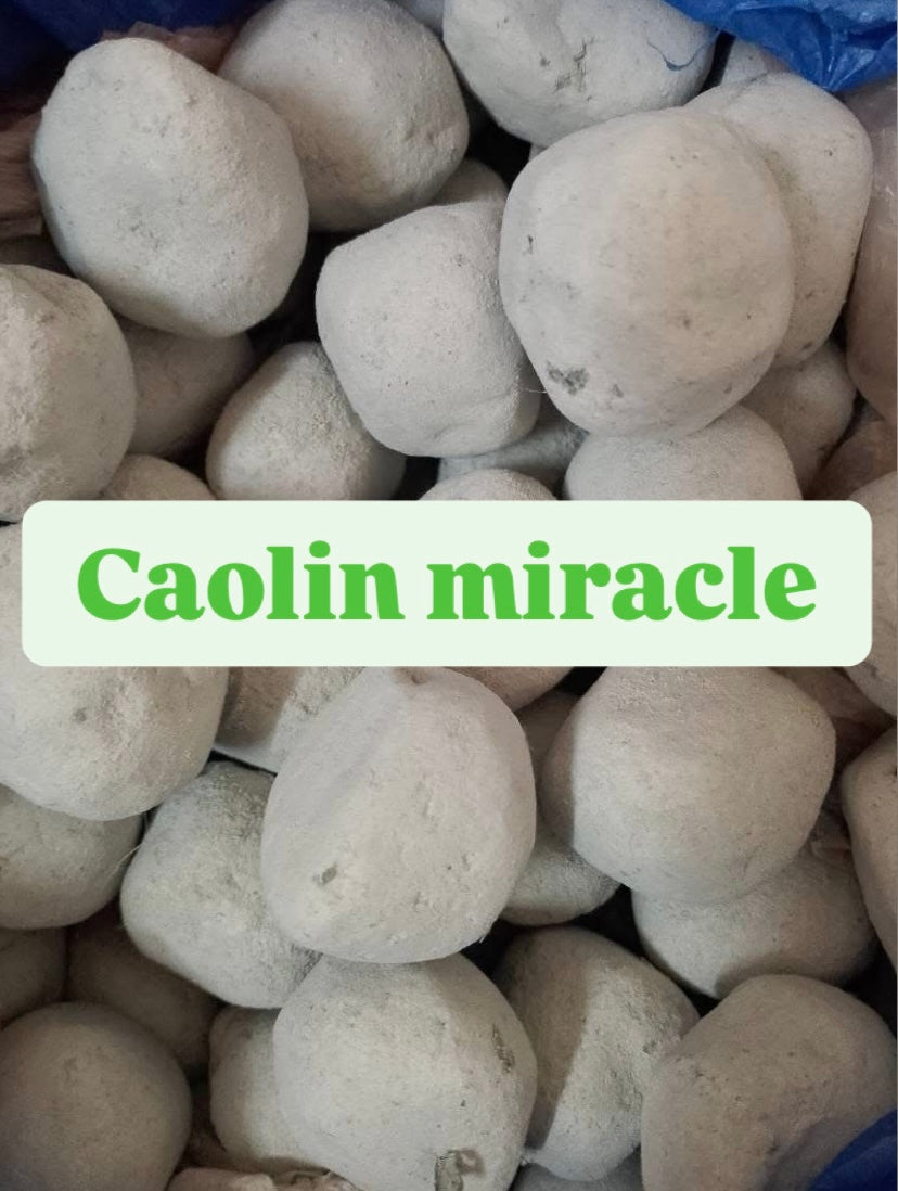 Caolin miracle 100% BIO