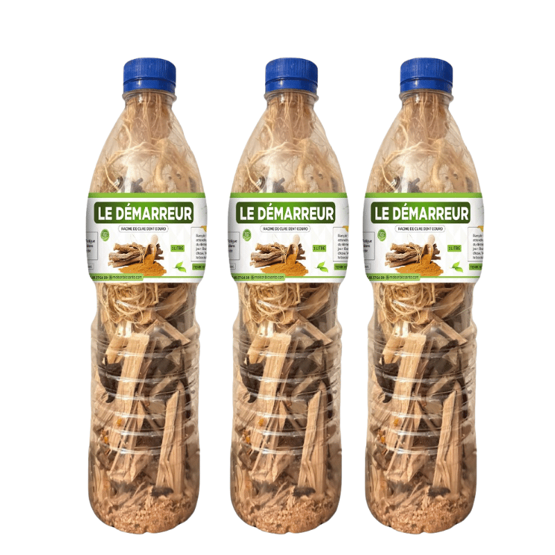 Le démarreur - Racine de cure dent Gouro - DÉCHIRER CALEÇON PRO MAX