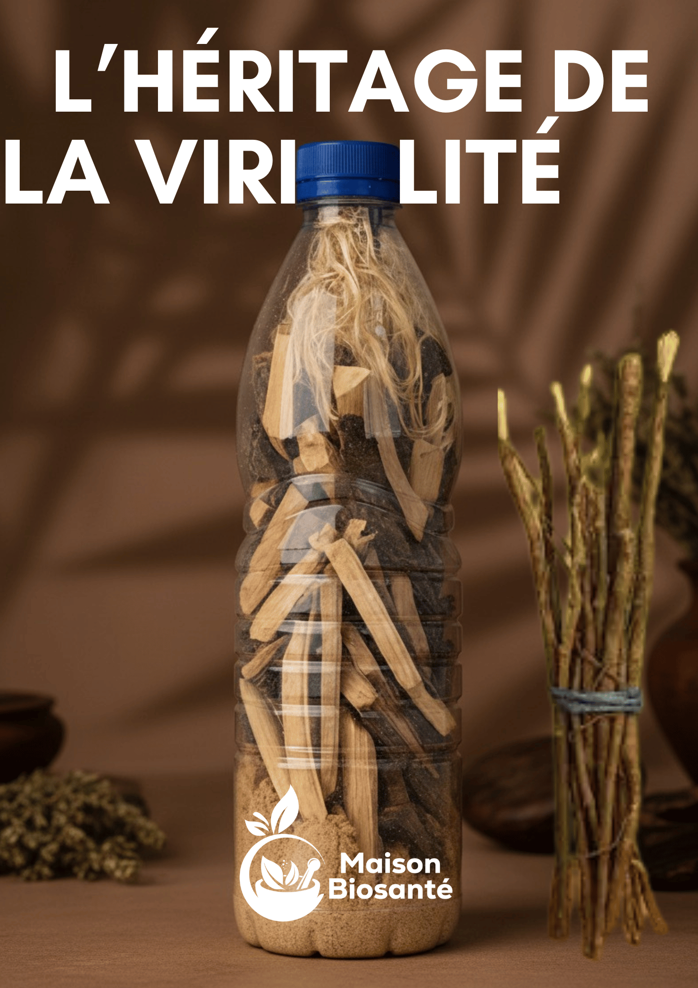 Le démarreur - Racine de cure dent Gouro - DÉCHIRER CALEÇON PRO MAX