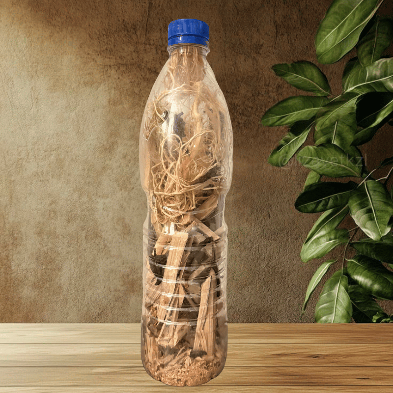 Racine de cure dent Gouro - DÉCHIRER CALEÇON PRO MAX