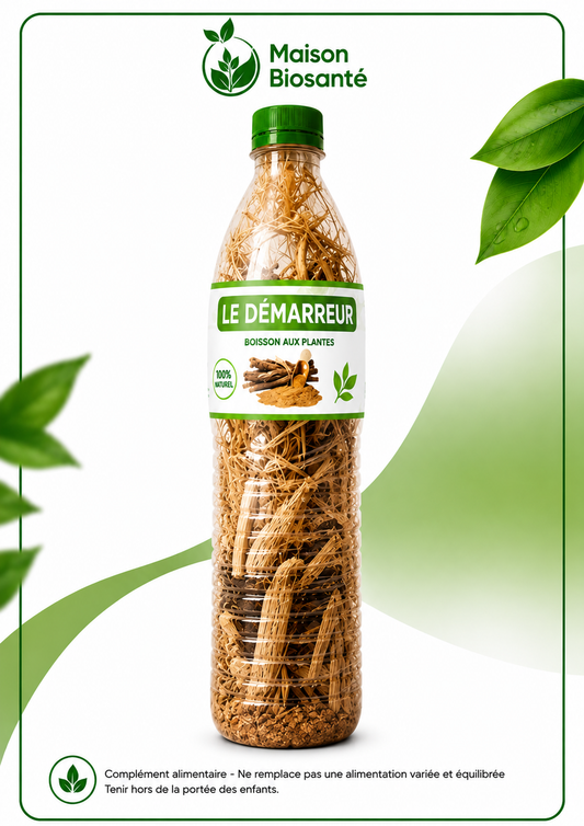Le demarreur - Racine de cure dent Gouro