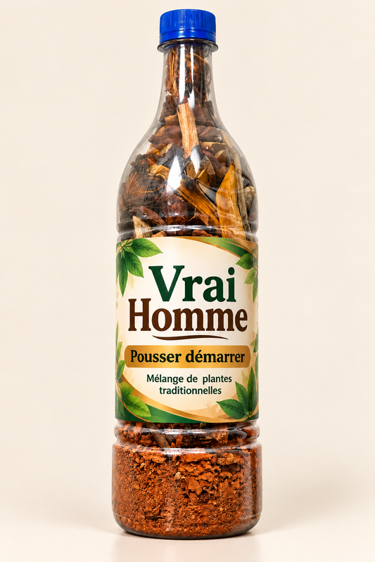 Racine vrai homme - Pousser démarrer à base de cure dent Gouro