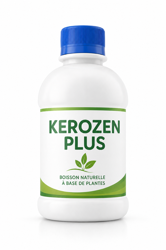 Kerozen plus - Boissons traditionnelles (sans sucre ajouté)